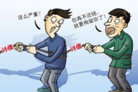 儋州为什么选择专业追讨公司来处理您的债务纠纷？